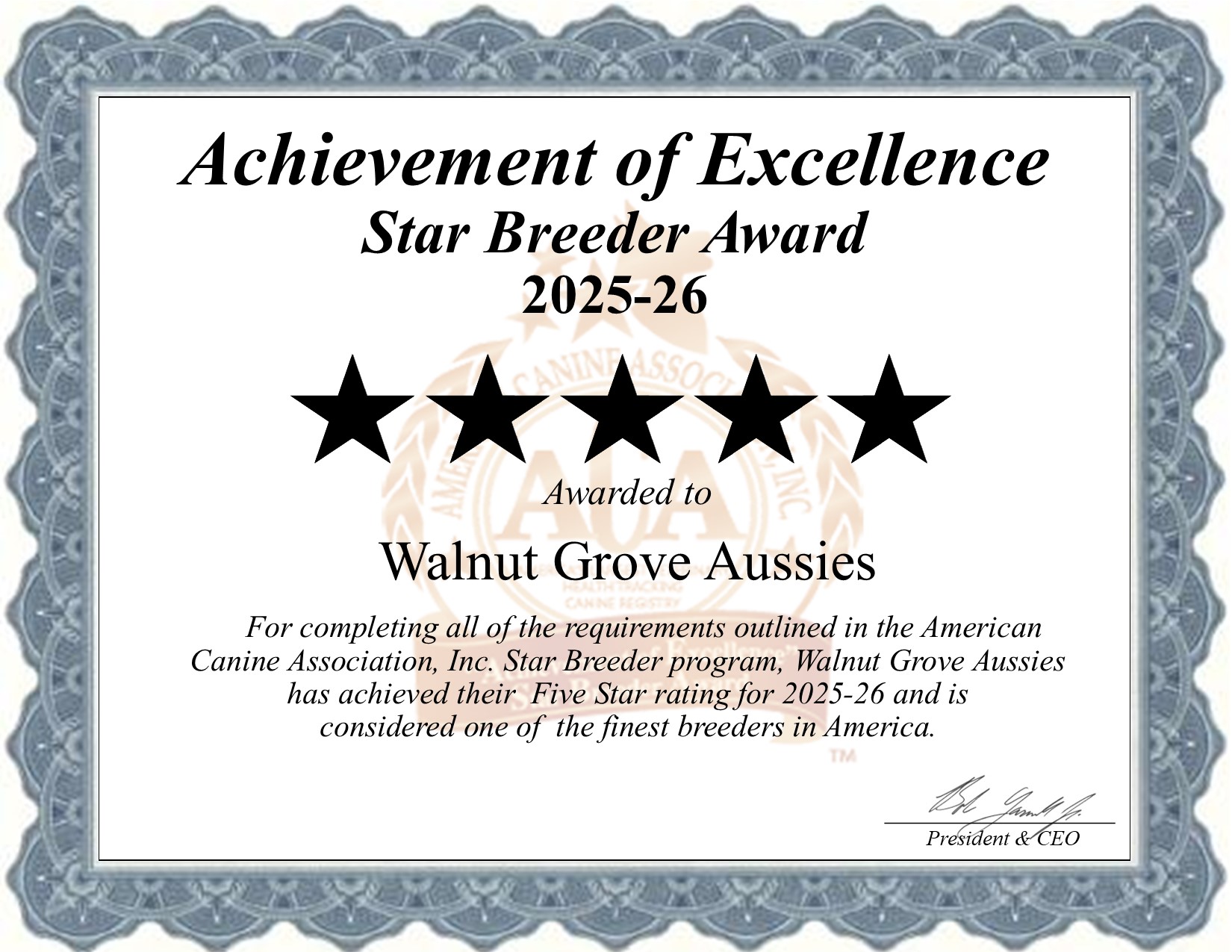 Walnut Grove, Aussies, dog, breeder, star, certificate, Walnut Grove-Aussies, Kirkwood, PA, Pennsylvania, puppy, dog, kennels, mill, puppymill, usda, 5-star, aca, ica, registered, Australian Shepherd